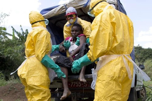 Ebola: l’OMS pense «pouvoir prendre le dessus» après un 1er but atteint - ảnh 1